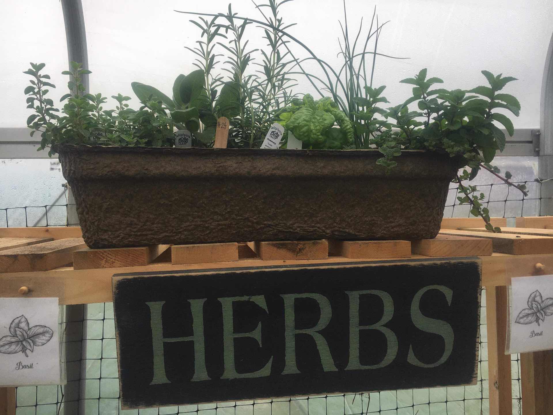 https://onedropfarm.com/wp-content/uploads/herb-window-box2.jpeg