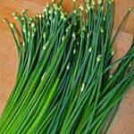 Garlic Chives