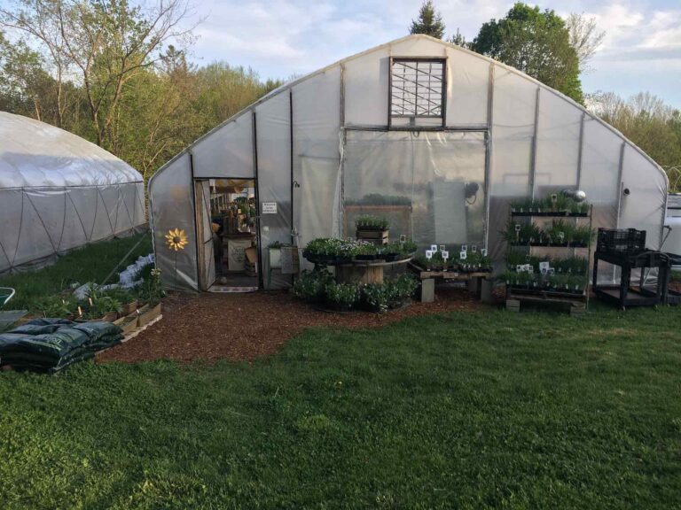 Markets One Drop Farm